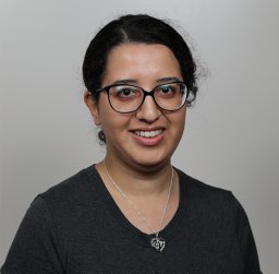 world-hyper-heuristic-a-novel-reinforcement-learning-approach-for ...