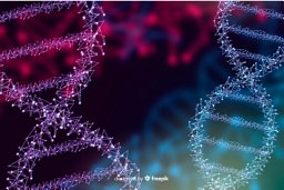 Spotlight on the Expanding Role of DANCR in Tumorigenesis and Tumor ...