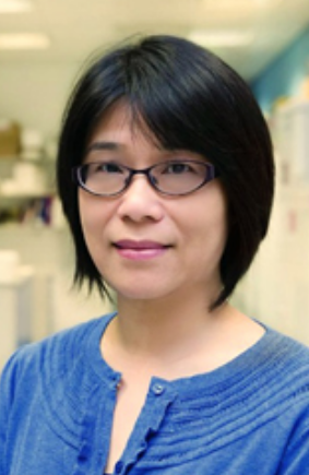 the-p21-activated-kinase-1-and-2-as-potential-therapeutic-targets-for ...