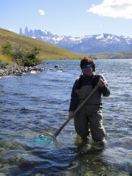 homogenization-of-the-freshwater-fish-fauna-of-the-biogeographic ...