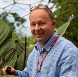 The prevalence of Phytophthora in British plant nurseries; high‐risk ...